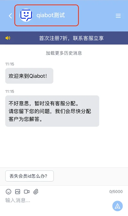 Visitor chat page displaying team name and avatar